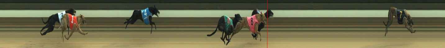 Photo finish for Warragul Race 1