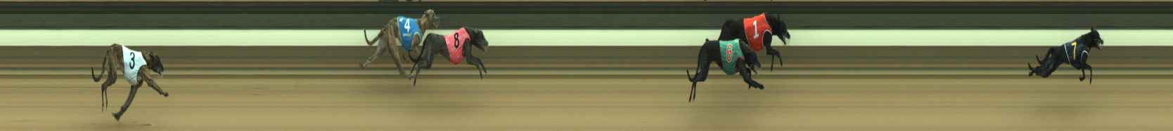 Photo finish for Warragul Race 2