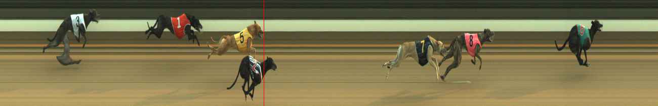 Photo finish for Warragul Race 3
