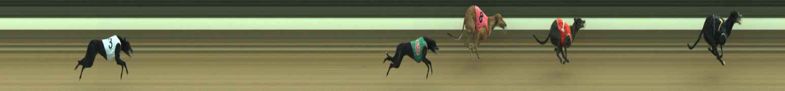 Photo finish for Warragul Race 4