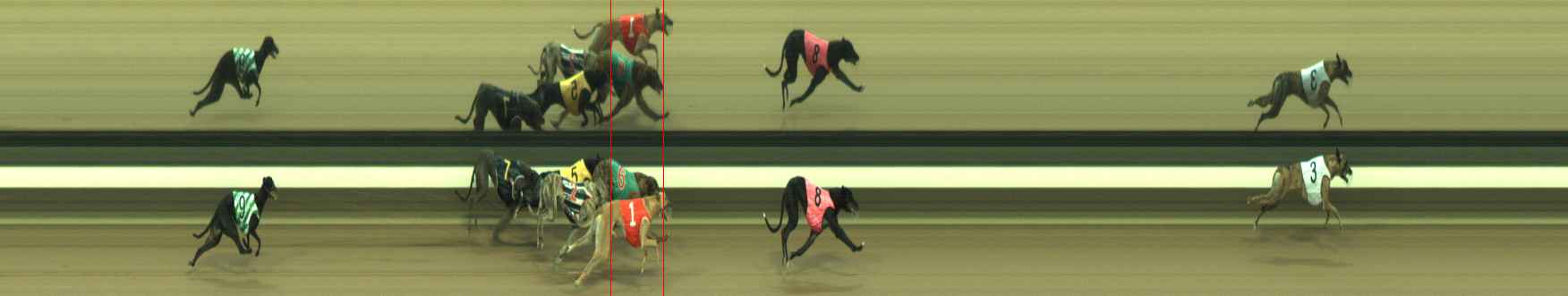 Photo finish for Warragul Race 5