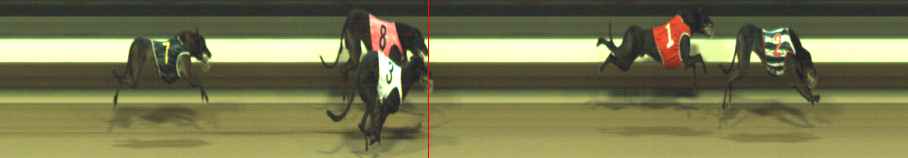 Photo finish for Warragul Race 6