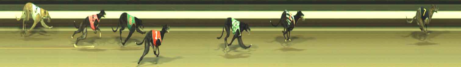 Photo finish for Warragul Race 7