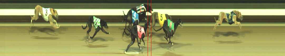 Photo finish for Warragul Race 8
