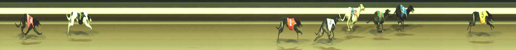 Photo finish for Warragul Race 9