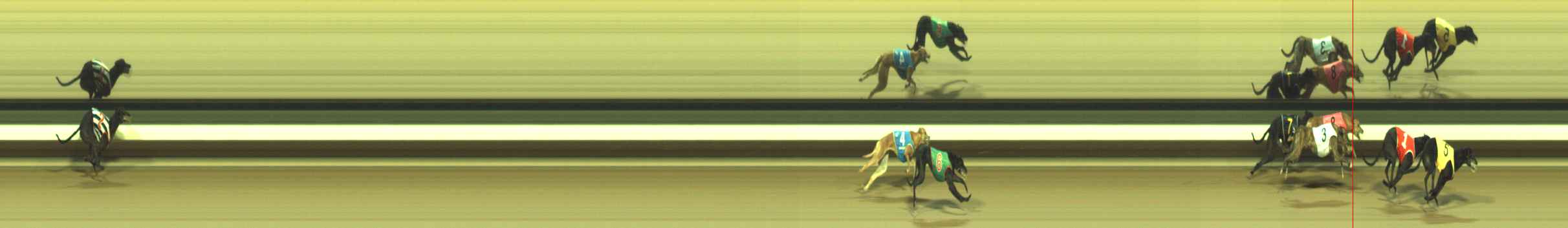Photo finish for Warragul Race 11