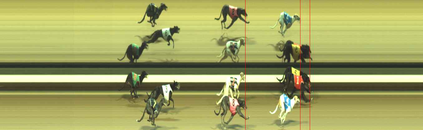 Photo finish for Warragul Race 12