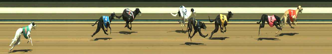 Photo finish for Warragul Race 2