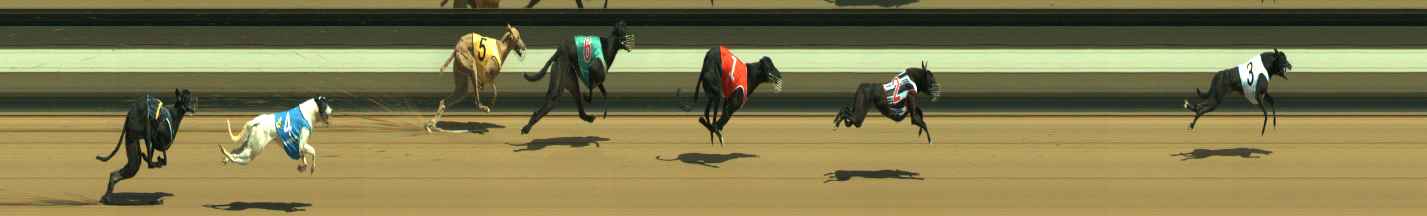 Photo finish for Warragul Race 4