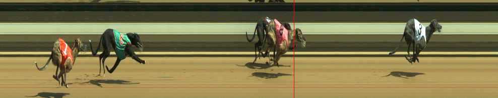 Photo finish for Warragul Race 5