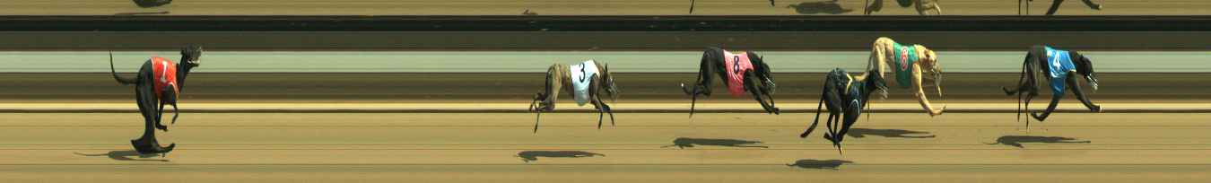 Photo finish for Warragul Race 6