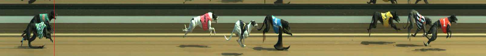 Photo finish for Warragul Race 8