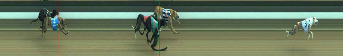 Photo finish for Warragul Race 10