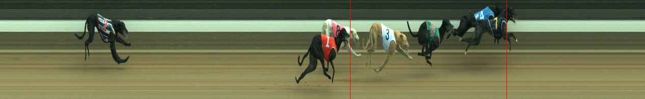 Photo finish for Warragul Race 11