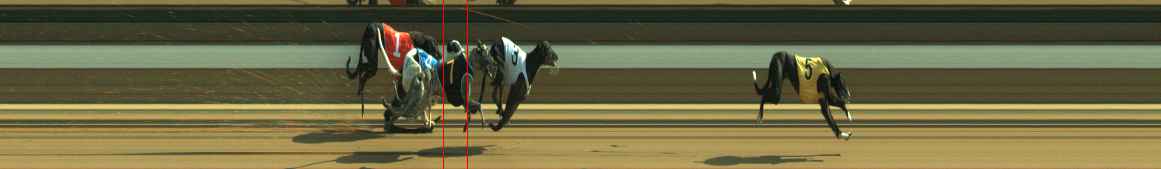 Photo finish for Warragul Race 12