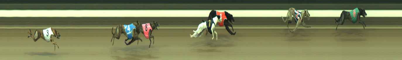Photo finish for Warragul Race 2