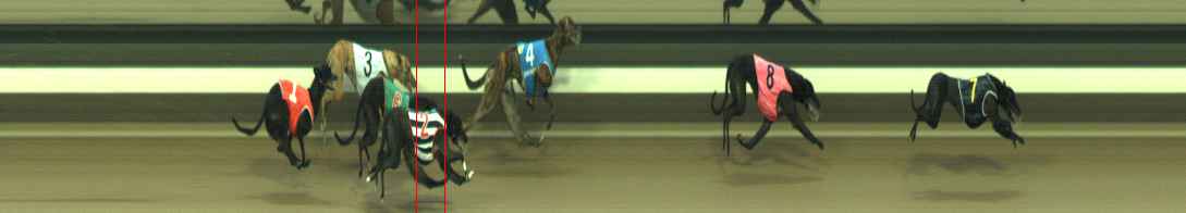 Photo finish for Warragul Race 4