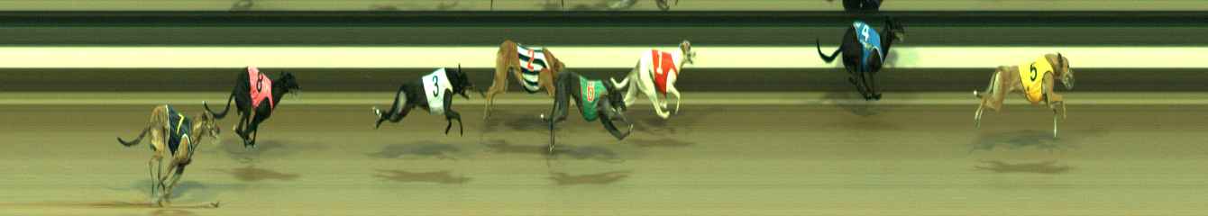 Photo finish for Warragul Race 5