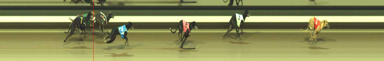 Photo finish for Warragul Race 6