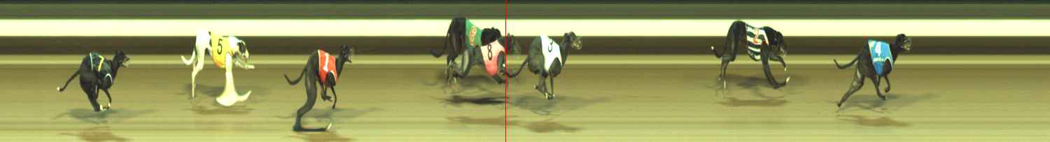 Photo finish for Warragul Race 8