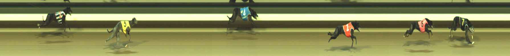 Photo finish for Warragul Race 10