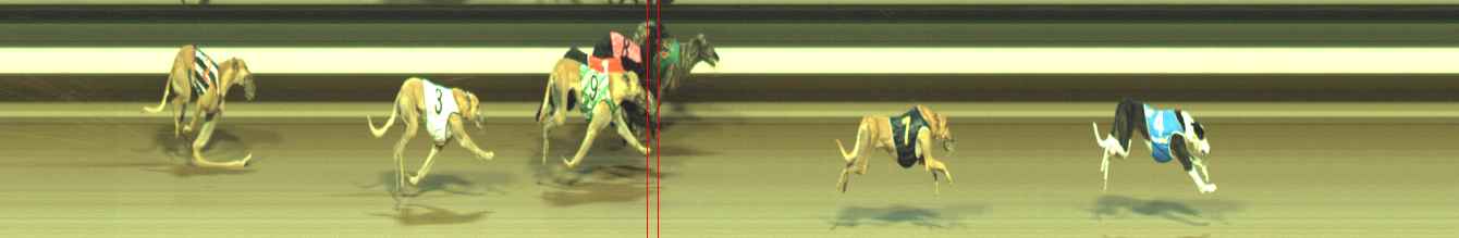Photo finish for Warragul Race 11