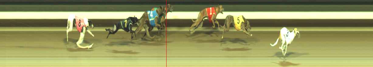 Photo finish for Warragul Race 12