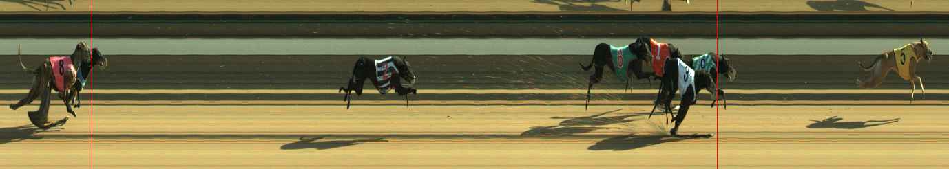 Photo finish for Warragul Race 1