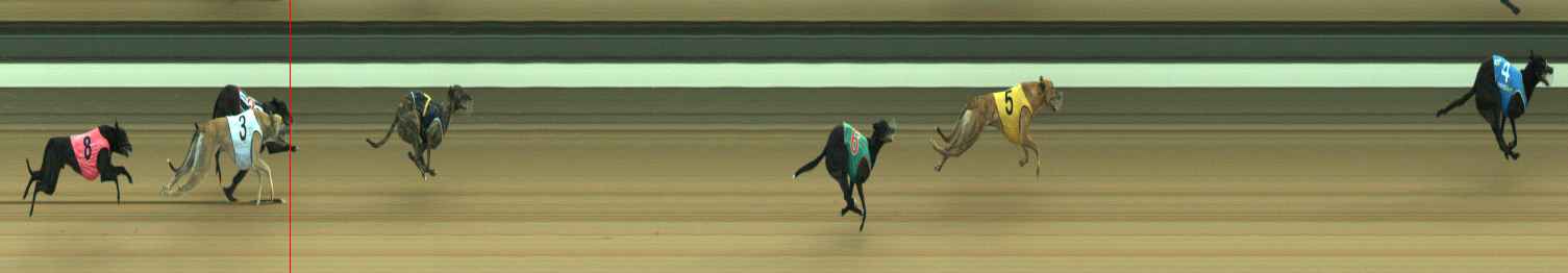 Photo finish for Warragul Race 2