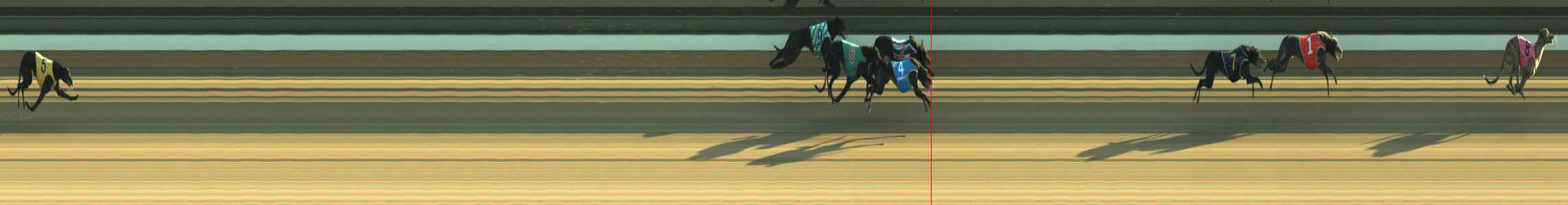 Photo finish for Warragul Race 3