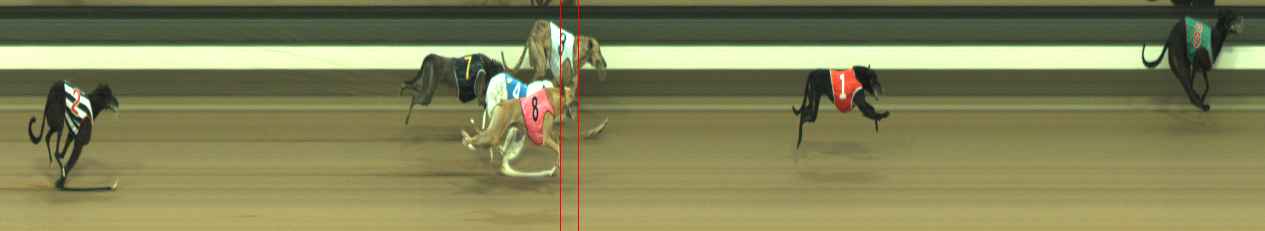Photo finish for Warragul Race 4