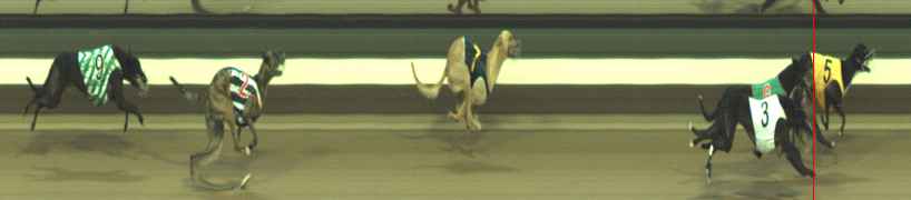 Photo finish for Warragul Race 5