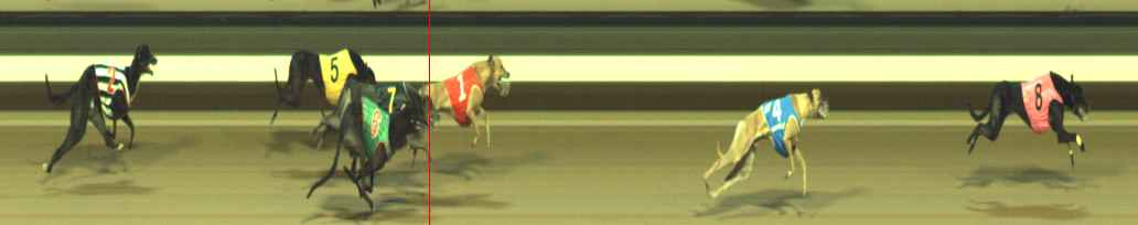 Photo finish for Warragul Race 6