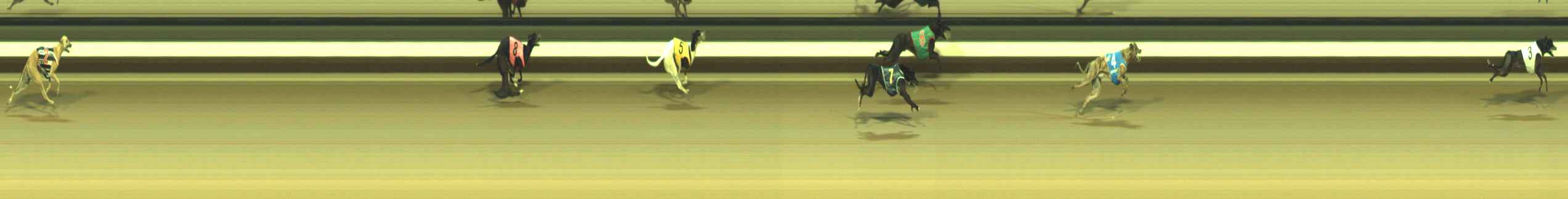 Photo finish for Warragul Race 7