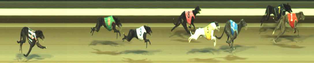Photo finish for Warragul Race 8