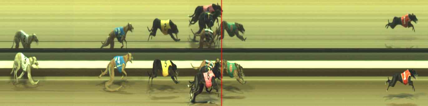 Photo finish for Warragul Race 10