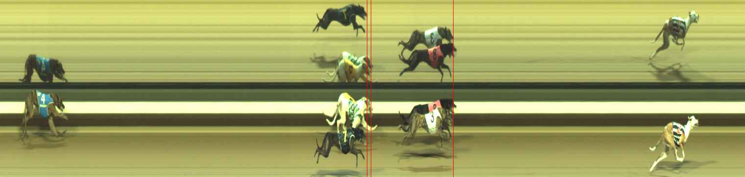 Photo finish for Warragul Race 11