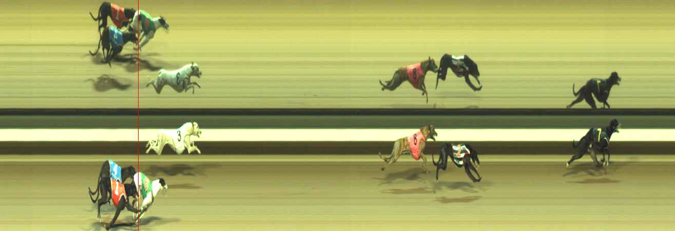 Photo finish for Warragul Race 12