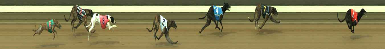Photo finish for Warragul Race 2