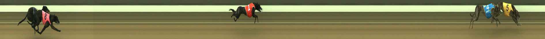 Photo finish for Warragul Race 3