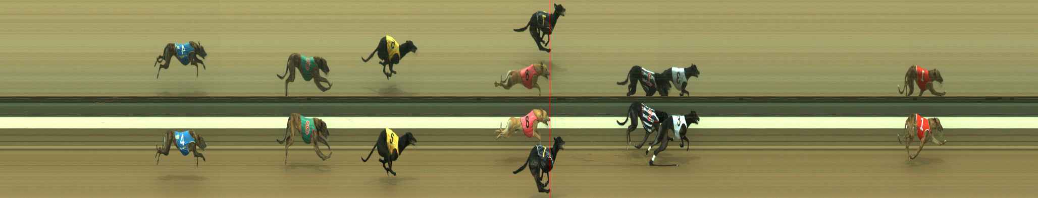 Photo finish for Warragul Race 6