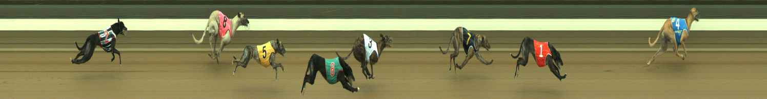 Photo finish for Warragul Race 8
