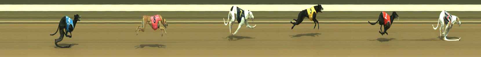 Photo finish for Warragul Race 9