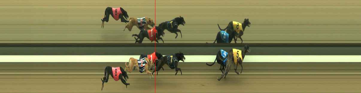 Photo finish for Warragul Race 10