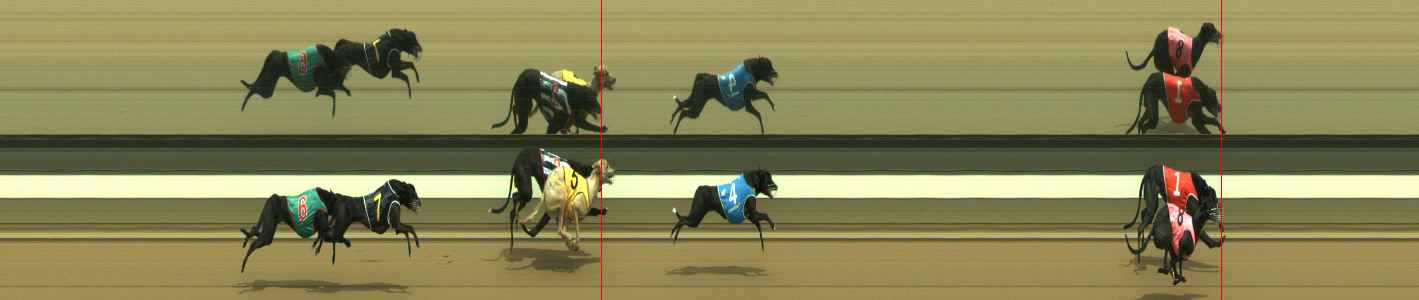 Photo finish for Warragul Race 11