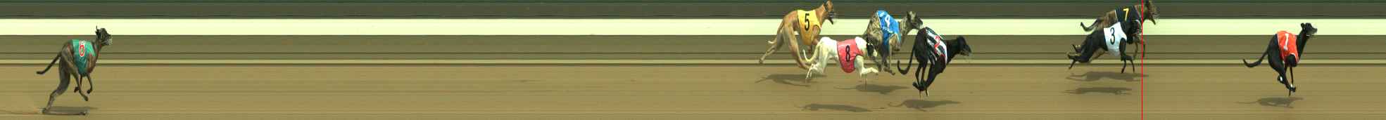 Photo finish for Warragul Race 12