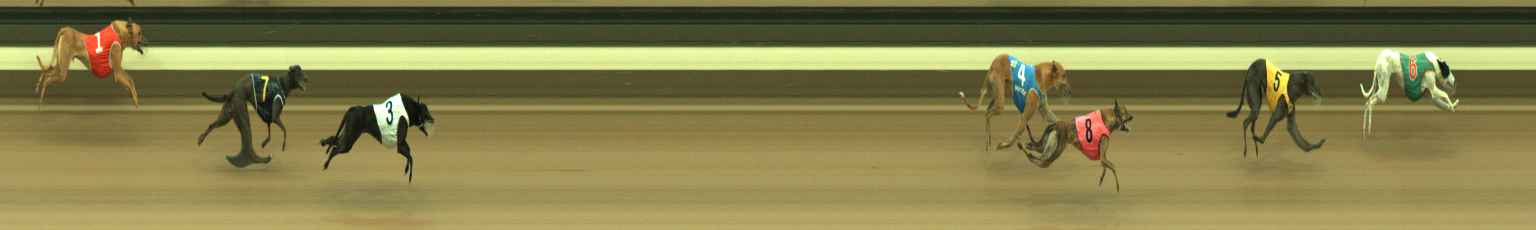 Photo finish for Warragul Race 3