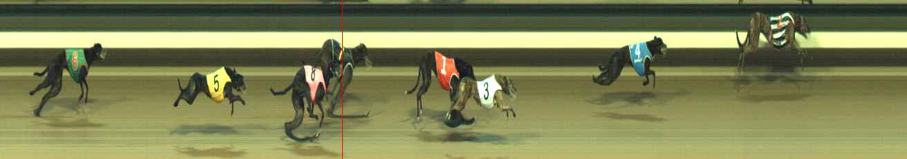 Photo finish for Warragul Race 5