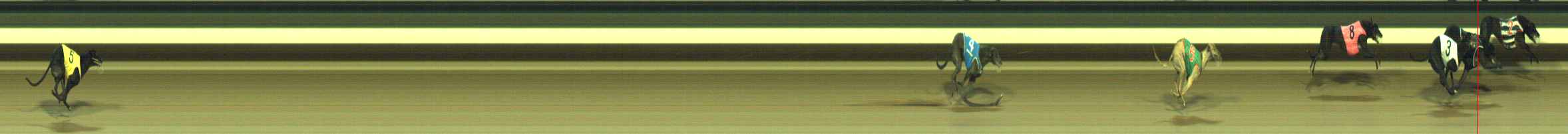 Photo finish for Warragul Race 6