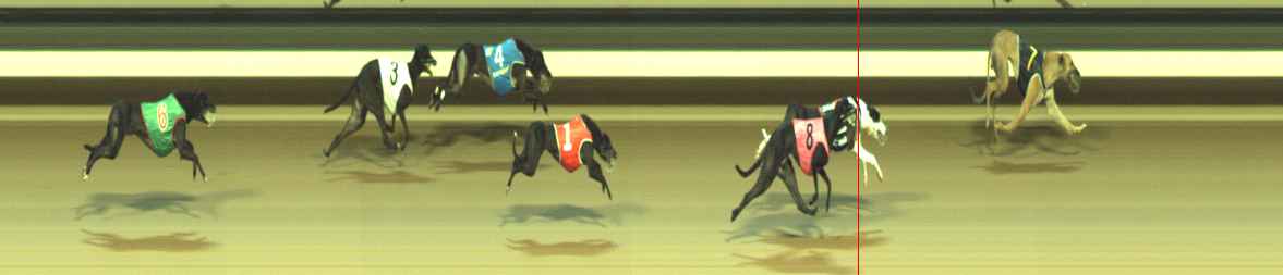 Photo finish for Warragul Race 7